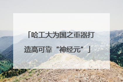 哈工大为国之重器打造高可靠“神经元”
