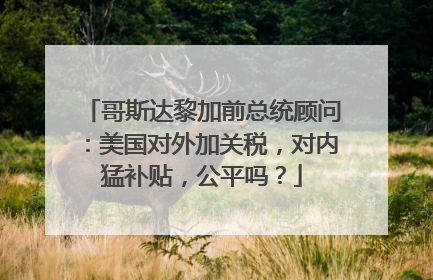 哥斯达黎加前总统顾问：美国对外加关税，对内猛补贴，公平吗？
