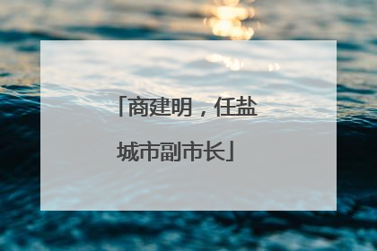 商建明，任盐城市副市长