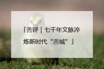 善评｜七千年文脉淬炼新时代“善城”