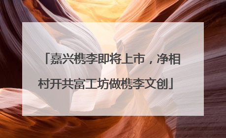 嘉兴槜李即将上市，净相村开共富工坊做槜李文创