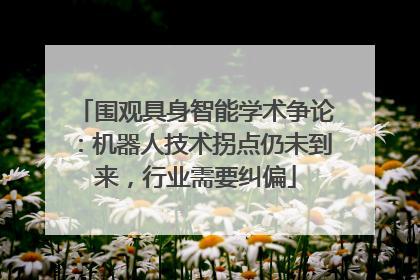 围观具身智能学术争论：机器人技术拐点仍未到来，行业需要纠偏
