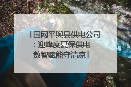 国网平舆县供电公司：迎峰度夏保供电  数智赋能守清凉