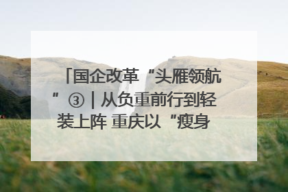 国企改革“头雁领航”③｜从负重前行到轻装上阵 重庆以“瘦身”谋“健体”