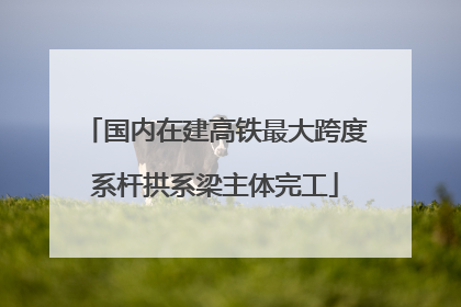 国内在建高铁最大跨度系杆拱系梁主体完工