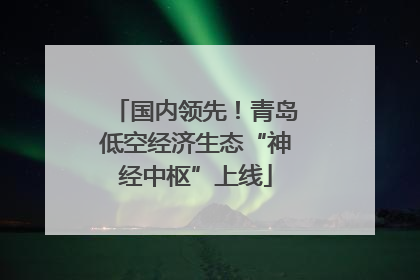 国内领先！青岛低空经济生态“神经中枢”上线