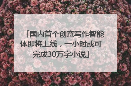 国内首个创意写作智能体即将上线，一小时或可完成30万字小说