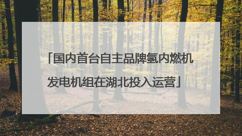 国内首台自主品牌氢内燃机发电机组在湖北投入运营