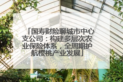 国寿财险聊城市中心支公司：构建多层次农业保险体系，全周期护航樱桃产业发展