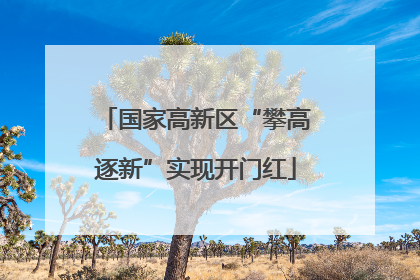 国家高新区“攀高逐新”实现开门红