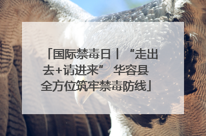 国际禁毒日丨“走出去+请进来” 华容县全方位筑牢禁毒防线