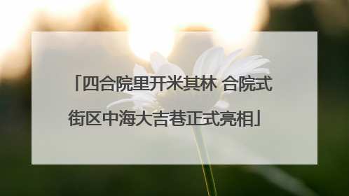 四合院里开米其林 合院式街区中海大吉巷正式亮相
