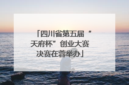 四川省第五届“天府杯”创业大赛决赛在蓉举办