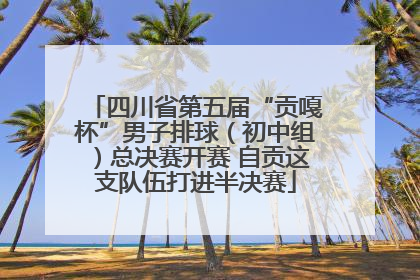 四川省第五届“贡嘎杯”男子排球（初中组）总决赛开赛 自贡这支队伍打进半决赛