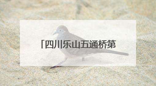 四川乐山五通桥第二十二届龙舟文化展演活动举行 32支队伍竞渡小西湖