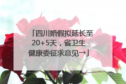 四川婚假拟延长至20+5天，省卫生健康委征求意见→