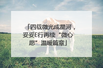 四载微光成星河，妥妥E行再续“微心愿”温暖篇章
