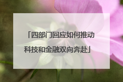 四部门回应如何推动科技和金融双向奔赴