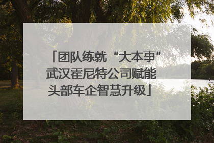 团队练就“大本事” 武汉霍尼特公司赋能头部车企智慧升级