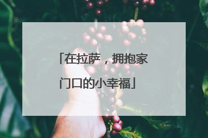 在拉萨，拥抱家门口的小幸福