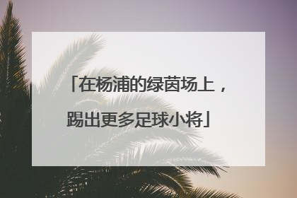 在杨浦的绿茵场上，踢出更多足球小将