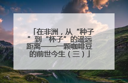 在非洲，从“种子”到“杯子”的遥远距离——一颗咖啡豆的前世今生（三）