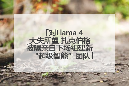 对Llama 4大失所望 扎克伯格被曝亲自下场组建新“超级智能”团队