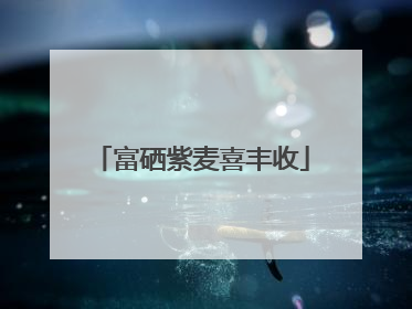 富硒紫麦喜丰收