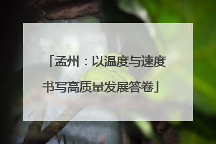 孟州：以温度与速度书写高质量发展答卷