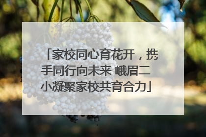 家校同心育花开，携手同行向未来 峨眉二小凝聚家校共育合力