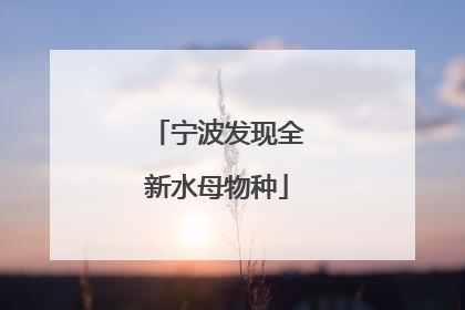 宁波发现全新水母物种
