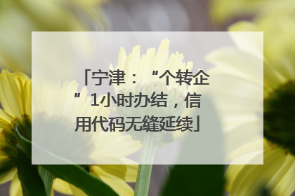 宁津：“个转企”1小时办结，信用代码无缝延续