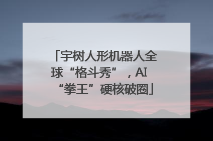 宇树人形机器人全球“格斗秀”，AI“拳王”硬核破圈