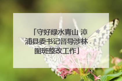 守好绿水青山 漳浦县委书记督导涉林图斑整改工作