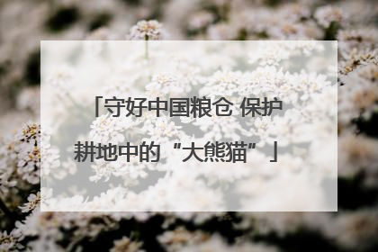 守好中国粮仓 保护耕地中的“大熊猫”