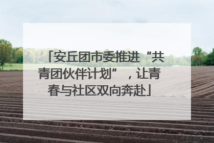 安丘团市委推进“共青团伙伴计划”，让青春与社区双向奔赴
