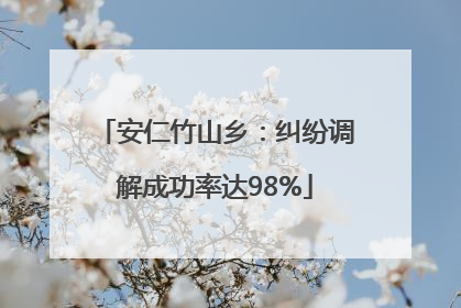安仁竹山乡：纠纷调解成功率达98%