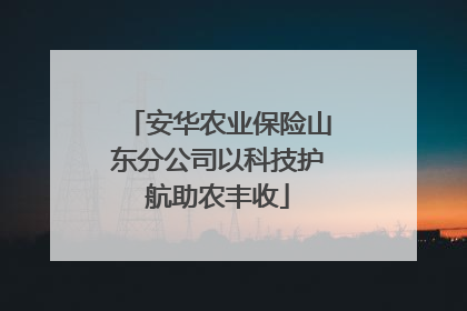 安华农业保险山东分公司以科技护航助农丰收