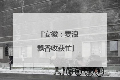 安徽：麦浪飘香收获忙