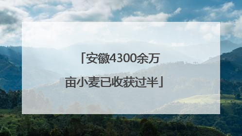 安徽4300余万亩小麦已收获过半