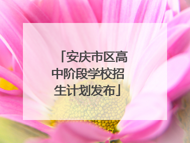安庆市区高中阶段学校招生计划发布