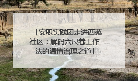安职实践团走进西苑社区：解码六尺巷工作法的温情治理之道