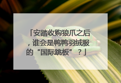 安踏收购狼爪之后，谁会是鸭鸭羽绒服的“国际跳板”？