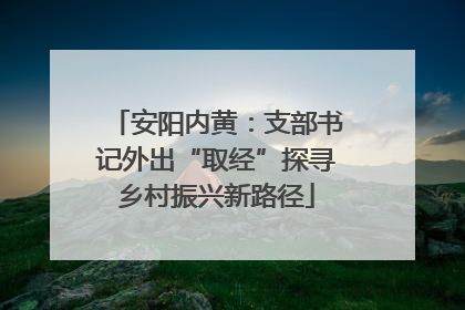安阳内黄：支部书记外出“取经”探寻乡村振兴新路径
