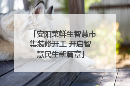 安阳菜鲜生智慧市集装修开工 开启智慧民生新篇章