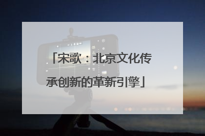 宋歌：北京文化传承创新的革新引擎