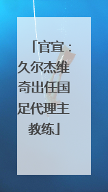 官宣：久尔杰维奇出任国足代理主教练