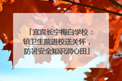 宜宾长宁梅白学校：镇卫生院进校送关怀，防暑安全知识润心田