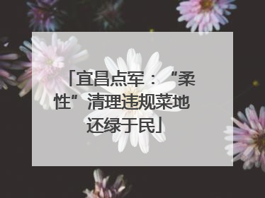 宜昌点军：“柔性”清理违规菜地 还绿于民
