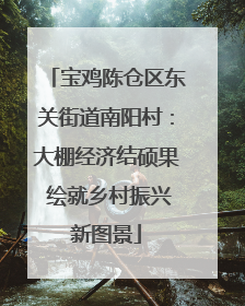 宝鸡陈仓区东关街道南阳村：大棚经济结硕果 绘就乡村振兴新图景